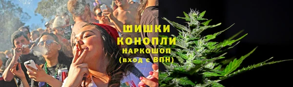 молекула духа Володарск