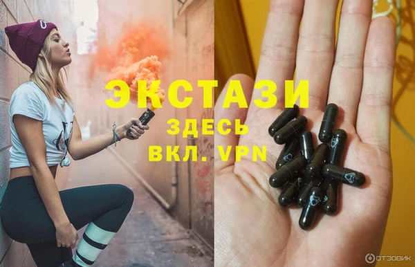 сатива Верея